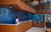 Туры в отель Stone Beach Club Dhiffushi