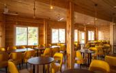 Туры в отель Dallas Beach Resort