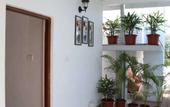 Туры в отель Baywalk Goa
