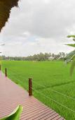 Туры в отель Bali Harmony Villas
