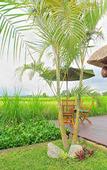 Туры в отель Bali Harmony Villas