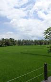 Туры в отель Bali Harmony Villas
