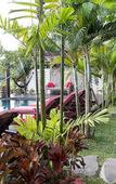 Туры в отель Bali Harmony Villas