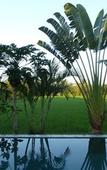 Туры в отель Bali Harmony Villas