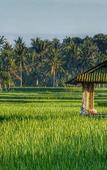 Туры в отель Bali Harmony Villas