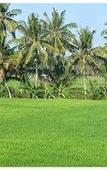 Туры в отель Bali Harmony Villas