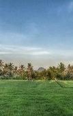 Туры в отель Bali Harmony Villas