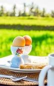 Туры в отель Bali Harmony Villas