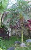 Туры в отель Bali Harmony Villas