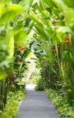 Туры в отель The Kasih Villas & Spa