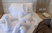 Туры в отель Jewel Sharm El-Sheikh Hotel