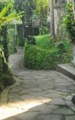 Туры в отель Ubud Sari Health Resort