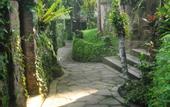 Туры в отель Ubud Sari Health Resort