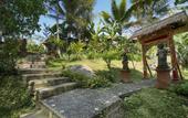 Туры в отель Ubud Sari Health Resort