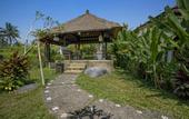 Туры в отель Ubud Sari Health Resort