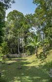 Туры в отель Ubud Sari Health Resort