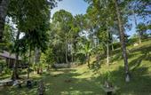 Туры в отель Ubud Sari Health Resort