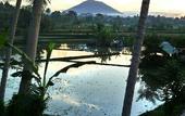 Туры в отель Temuku Villas Ubud