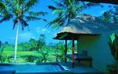 Туры в отель Temuku Villas Ubud