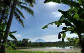 Туры в отель Temuku Villas Ubud