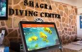 Туры в отель Marsa Shagra Village