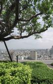 Туры в отель Wyndham Garden Bangkok Sukhumvit 42