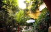 Туры в отель Pacific Club Resort