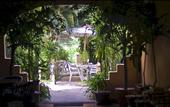 Туры в отель Pacific Club Resort