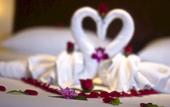 Туры в отель Pacific Club Resort