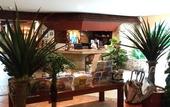 Туры в отель Pacific Club Resort