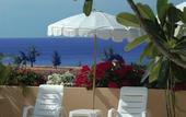 Туры в отель Pacific Club Resort