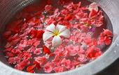 Туры в отель Origin Ubud