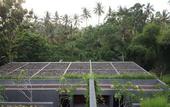 Туры в отель Origin Ubud