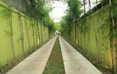 Туры в отель Green Bird Villa