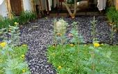 Туры в отель Green Bird Villa