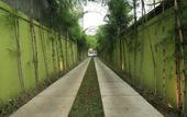 Туры в отель Green Bird Villa