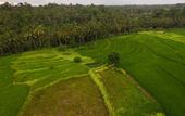 Туры в отель Purana Boutique Resort
