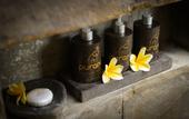 Туры в отель Purana Boutique Resort