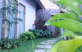 Туры в отель Purana Boutique Resort