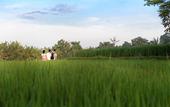Туры в отель Purana Boutique Resort
