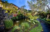 Туры в отель Anumana Village Ubud