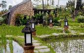 Туры в отель Anumana Village Ubud