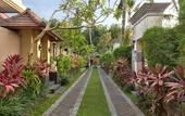 Туры в отель The Kampung Ubud Villa