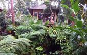 Туры в отель Villa Beji Indah