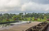 Туры в отель Puri Padma Hotel