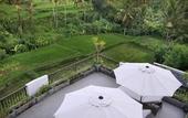 Туры в отель Puri Padma Hotel