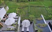 Туры в отель Puri Padma Hotel