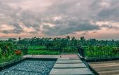 Туры в отель Puri Padma Hotel