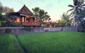 Туры в отель Madani Antique Villas