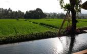 Туры в отель Wadari Retreat Villa Ubud